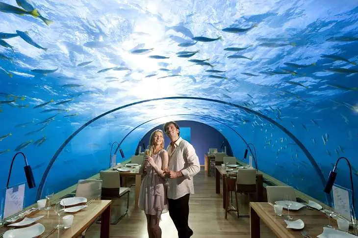 Ithaa-Undersea-Restaurant-Rangali-Island-The-Maldives